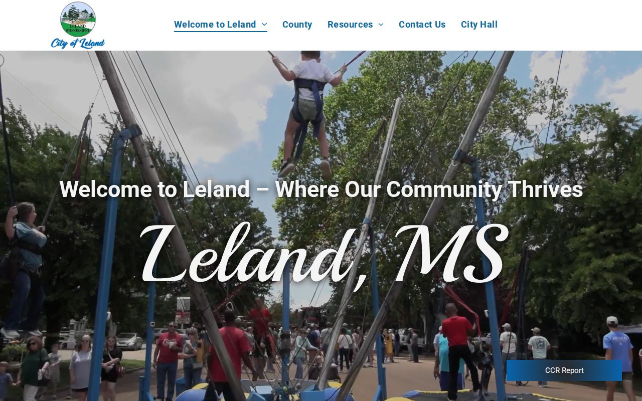 Washington County court record search context with Leland City Hall municipal contact