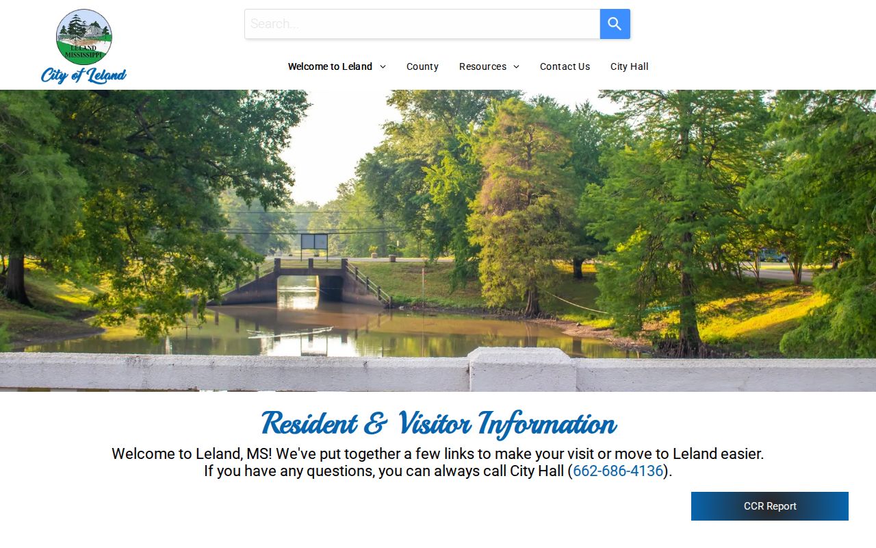 Washington County court record search context using Leland municipal information route